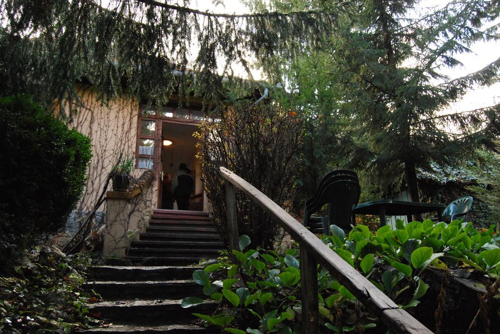 Boróka Apartmanházak - Öregház Velem Quarto foto