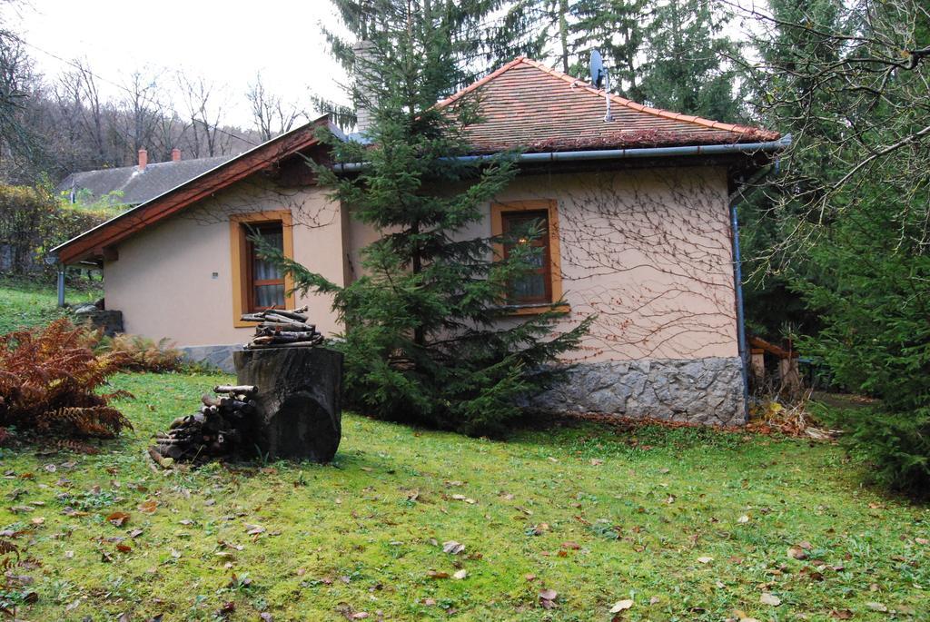 Boróka Apartmanházak - Öregház Velem Quarto foto