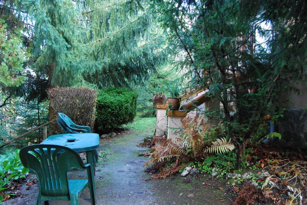 Boróka Apartmanházak - Öregház Velem Quarto foto