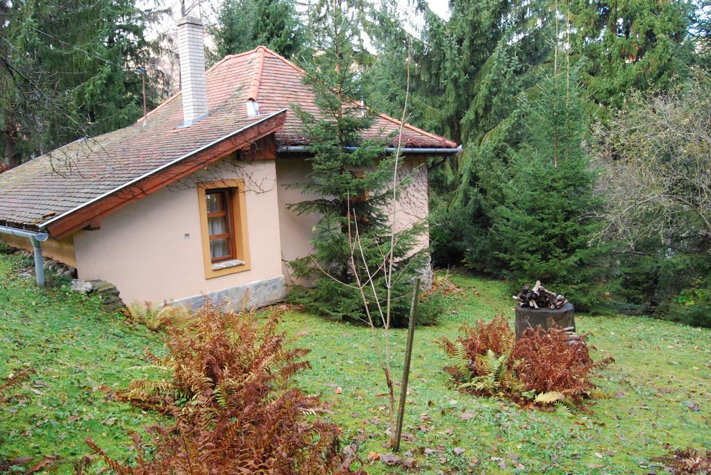 Boróka Apartmanházak - Öregház Velem Quarto foto